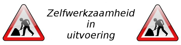 zelfwerkzaamheid